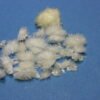 Buy DMT Crystals Online
