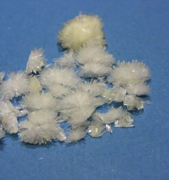 Buy DMT Crystals Online