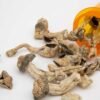 Ecuadorian Magic Mushroom
