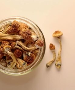 Goldie Magic Mushrooms
