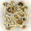Buy Magic Mushrooms Liverpool